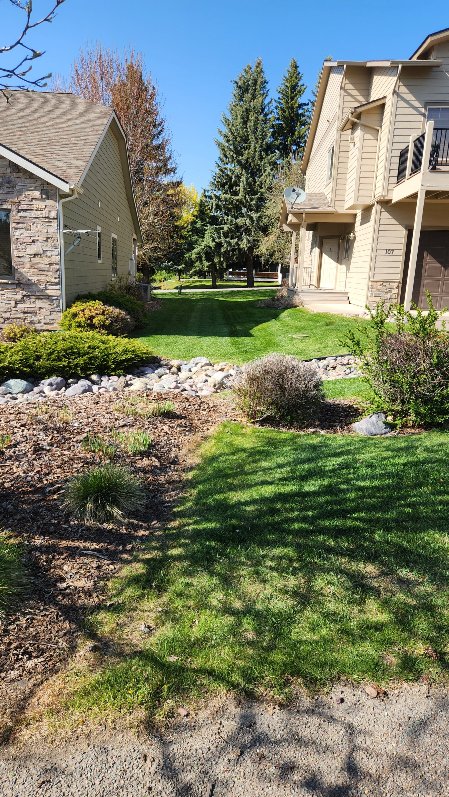 Landscaping and Snow Removal Services